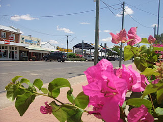 rose tree and main street of Julia Creek